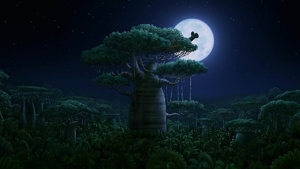 マダガスカルの画像