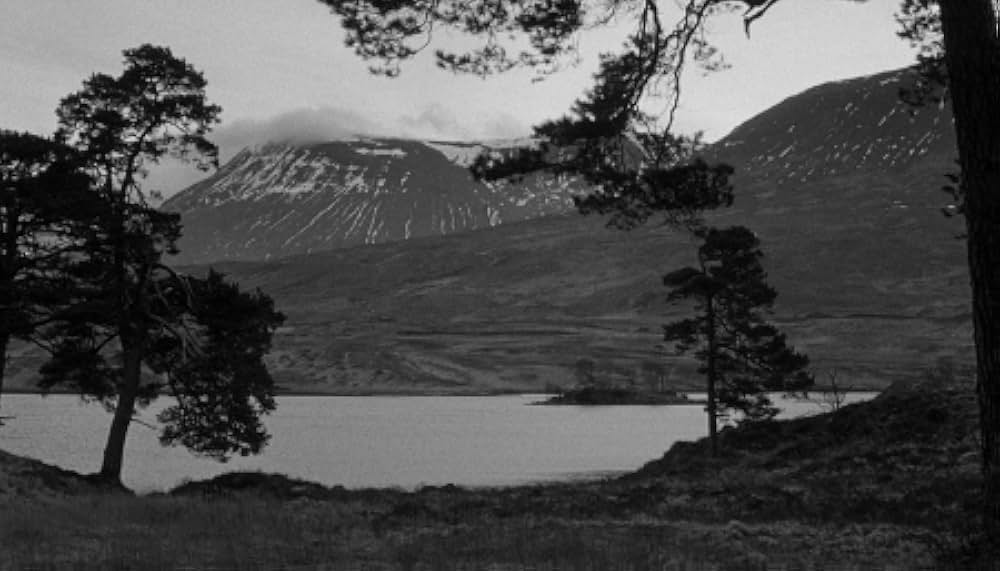 やくざ特急の画像