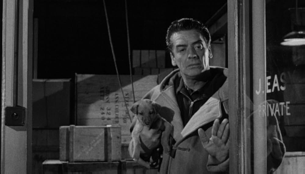 やくざ特急の画像