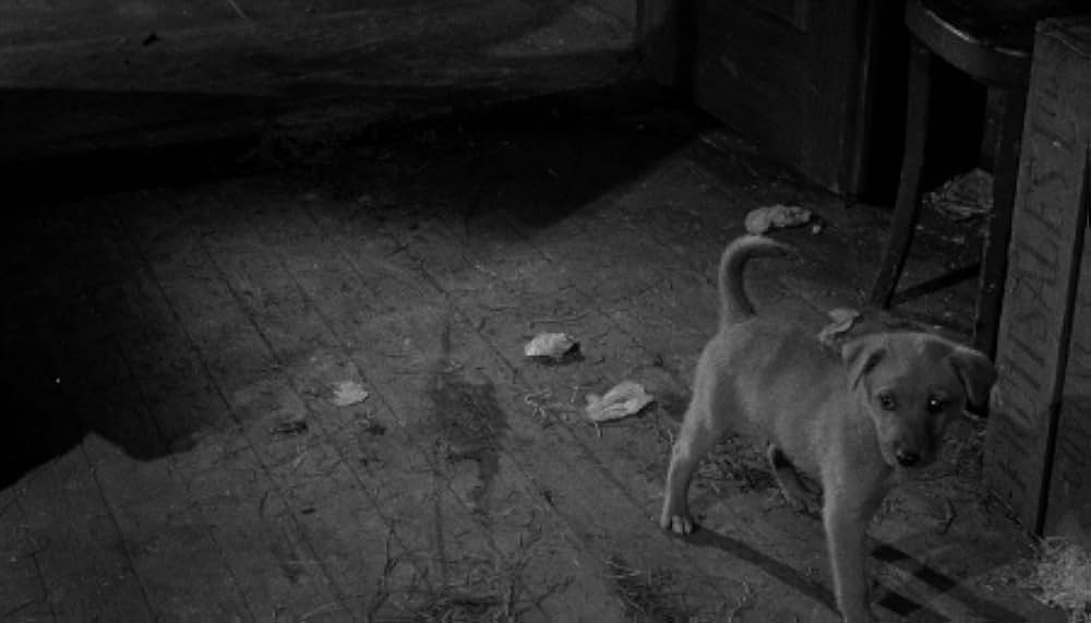 やくざ特急の画像