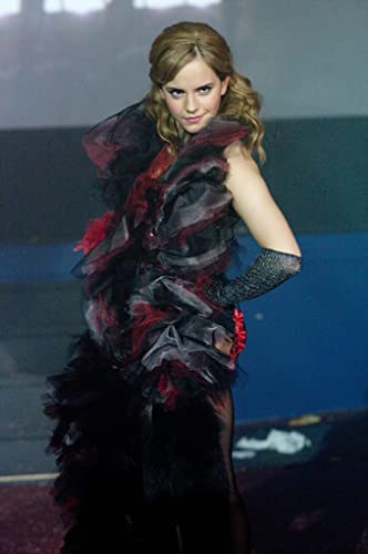 ウォールフラワーの画像