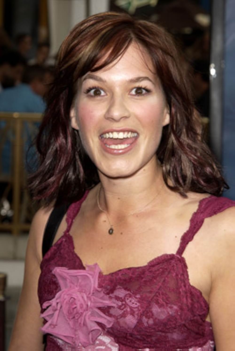 ボーン・アイデンティティーの画像