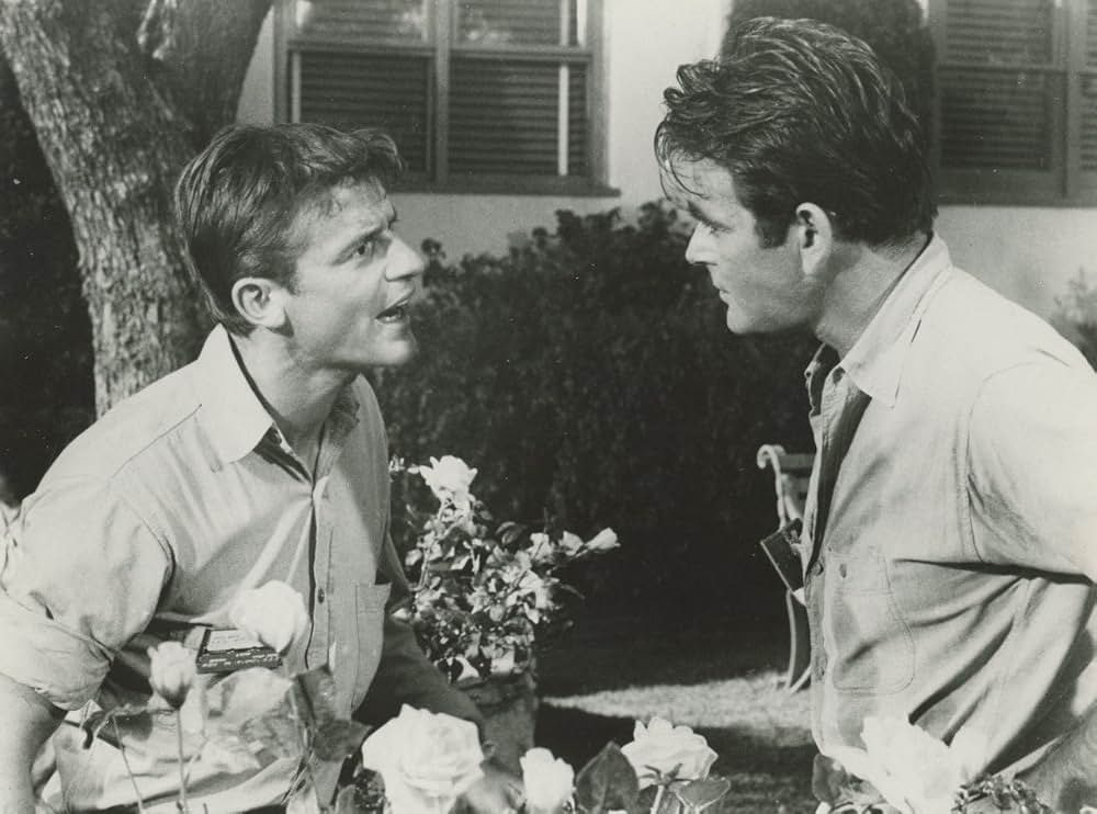 残虐療法の画像