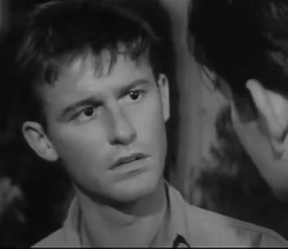 残虐療法の画像