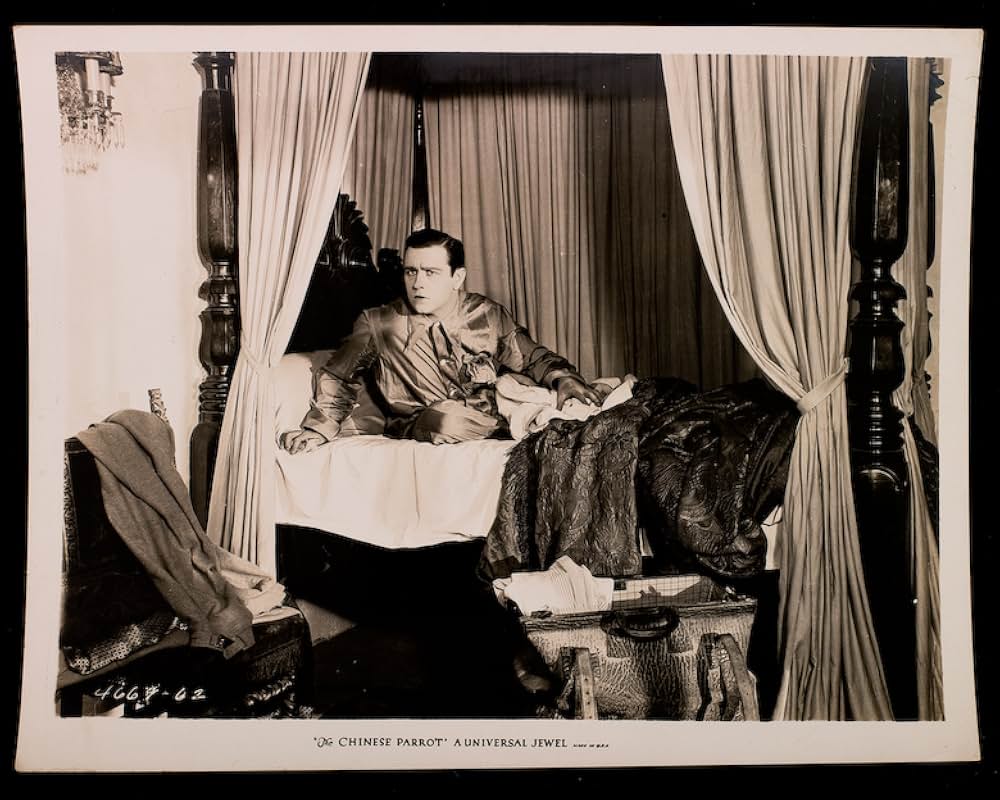 支那の鸚鵡の画像