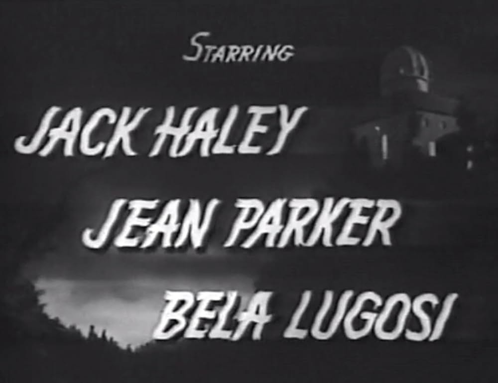 奇妙な遺言状の画像