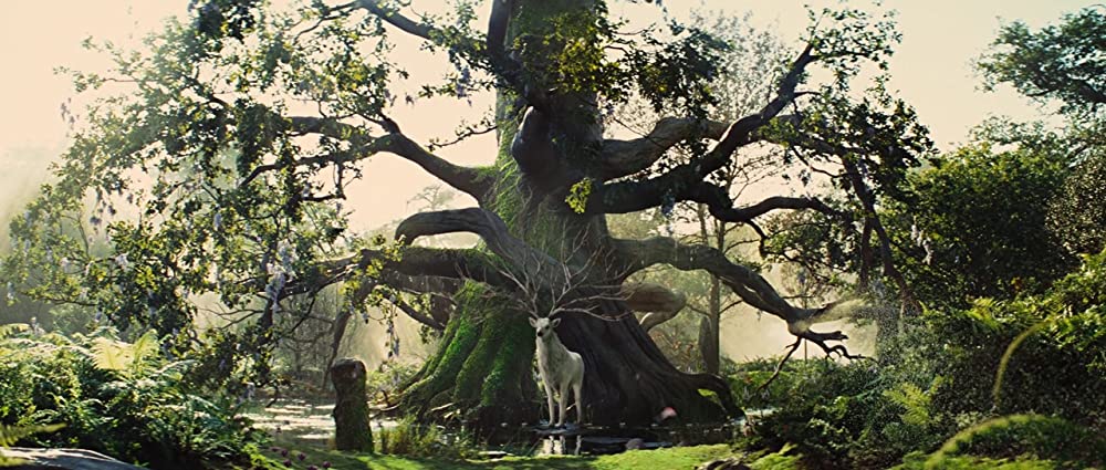 スノーホワイトの画像