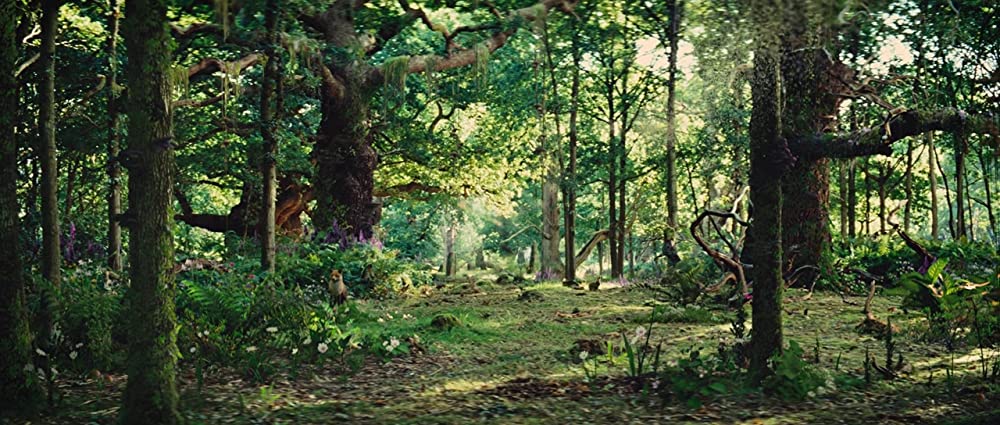 スノーホワイトの画像