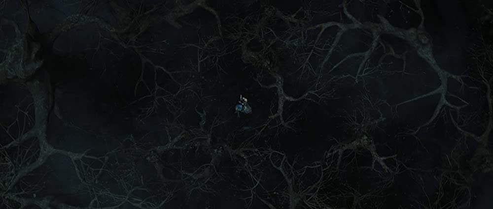 スノーホワイトの画像