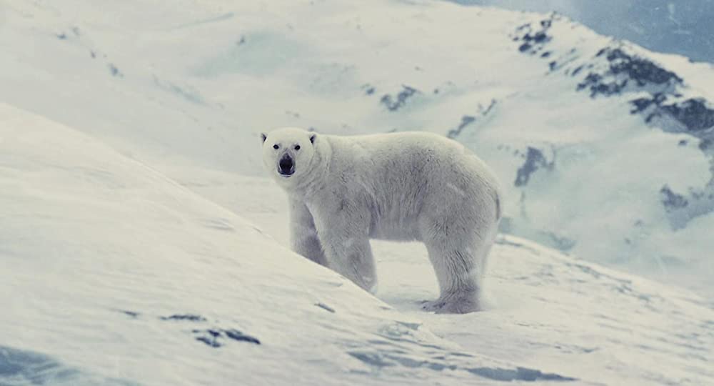 スノーピアサーの画像