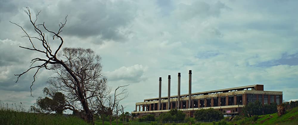 チャッピーの画像