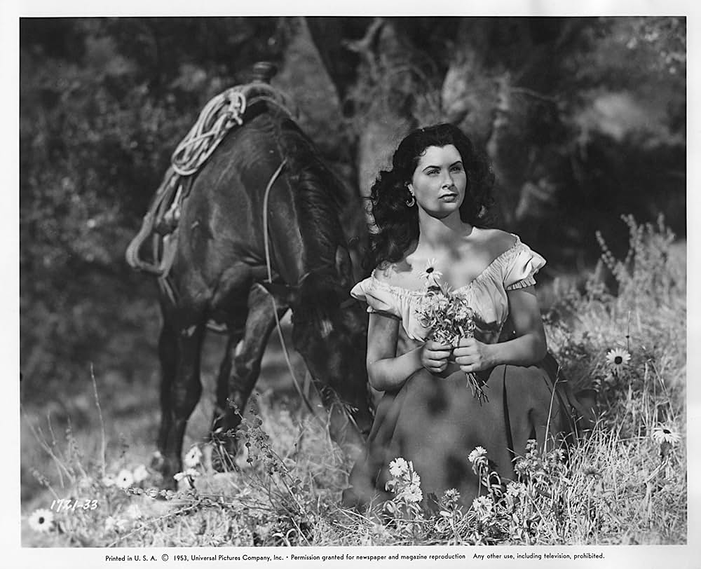 決闘の町の画像