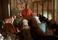 ドクター・ドリトル4の画像