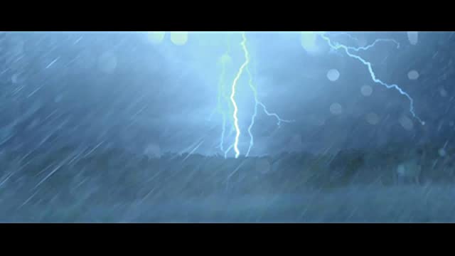 （r）adius ラディウスの画像