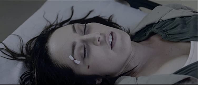 （r）adius ラディウスの画像