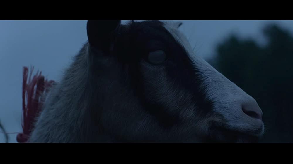 （r）adius ラディウスの画像