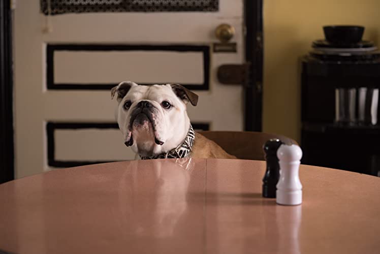 パターソンの画像