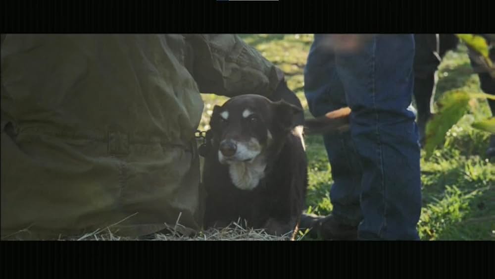 2040 地球再生のビジョンの画像