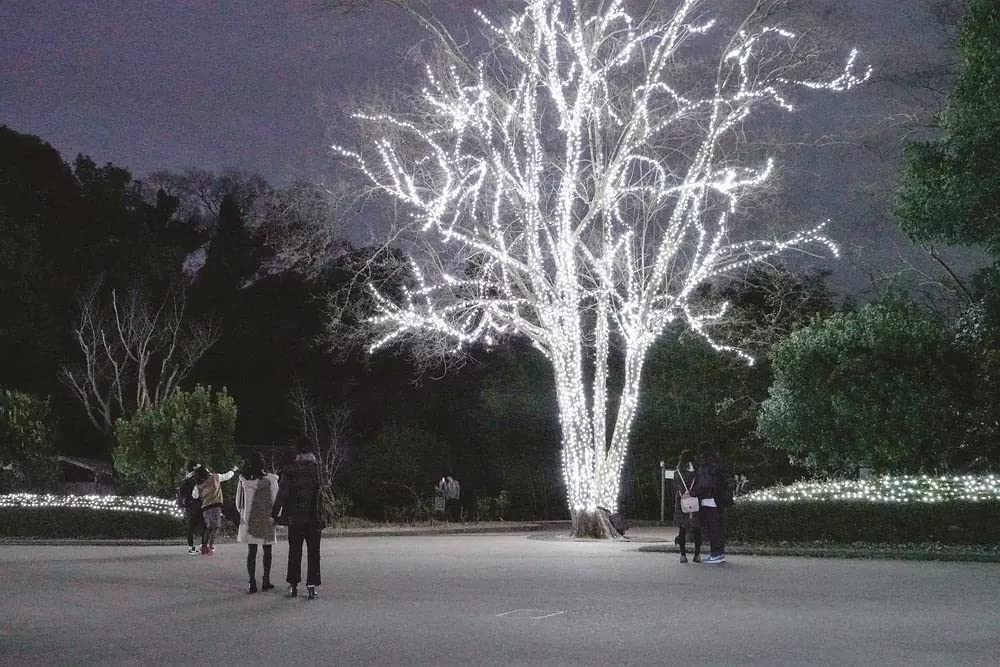 ぼくは明日、昨日のきみとデートするの画像