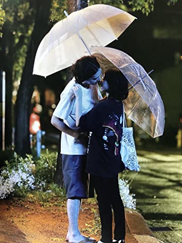 きみの鳥はうたえるの画像