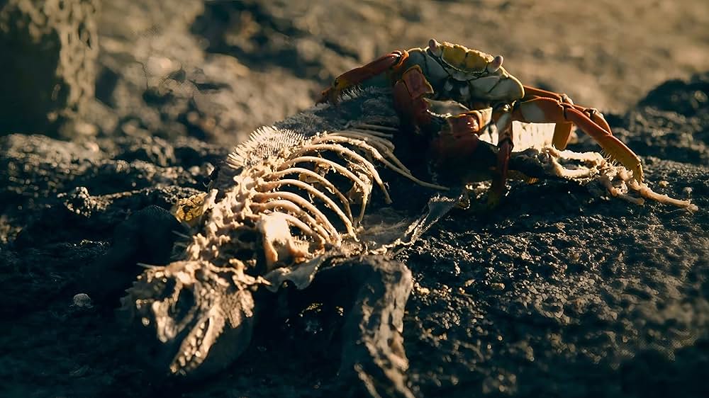 エデン ～楽園の果て～の画像