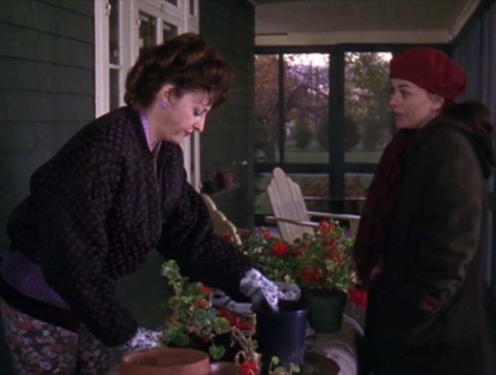 アント・ヒル・キッズ 一夫多妻カルト集団の画像