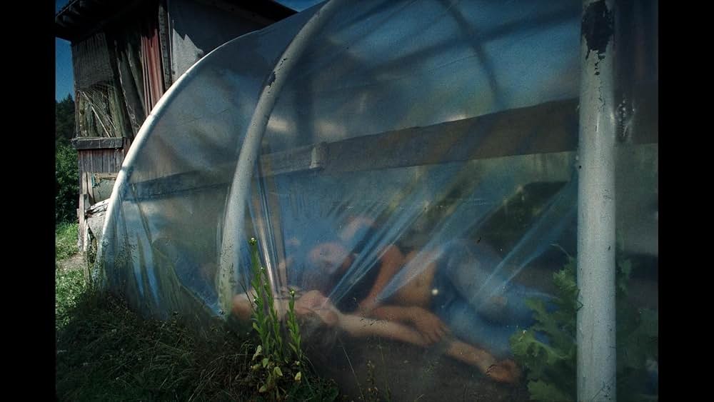 トクシックの画像