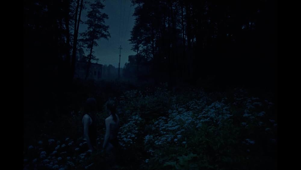 トクシックの画像