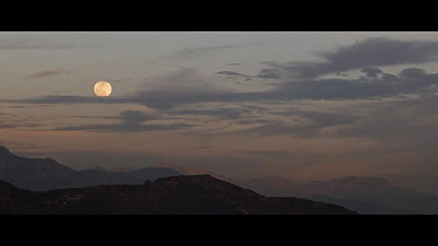 ハリウッド 1969 シャロン・テートの亡霊の画像