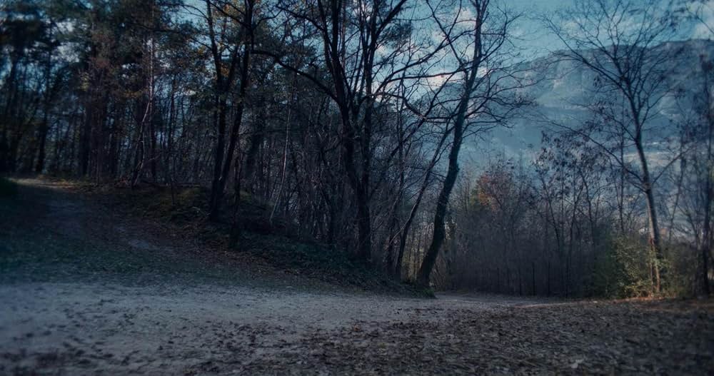 ヴェルミリオの画像