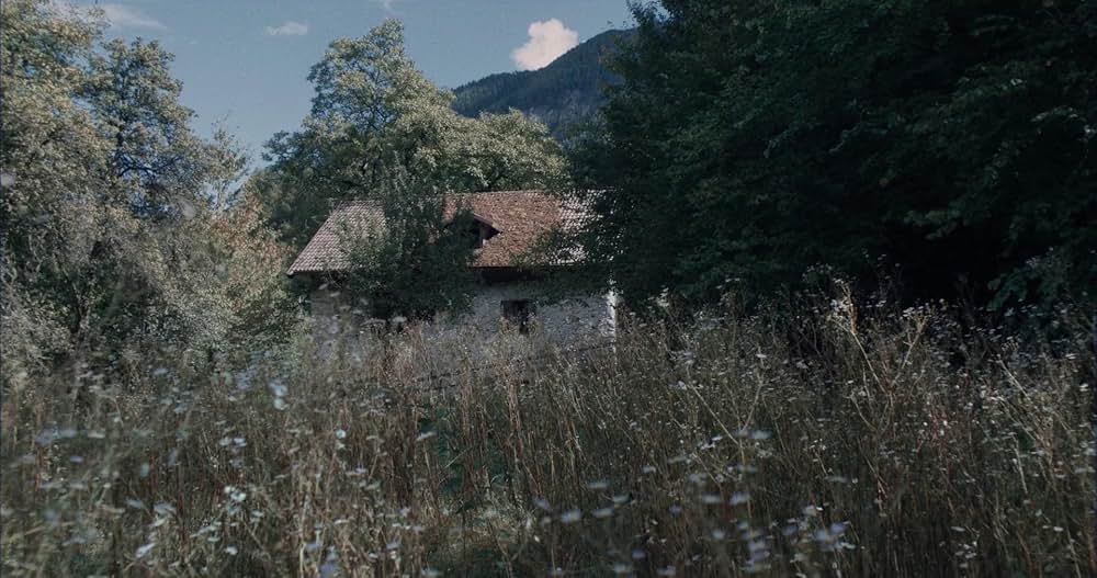 ヴェルミリオの画像