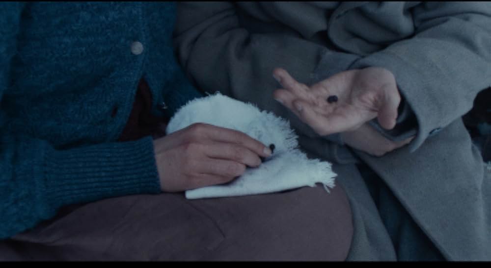 ヴェルミリオの画像