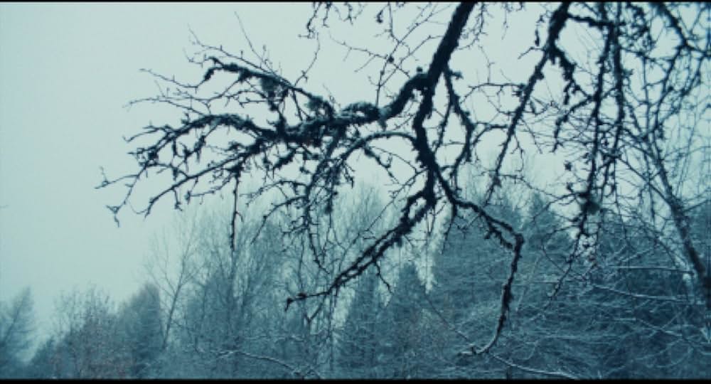 ヴェルミリオの画像