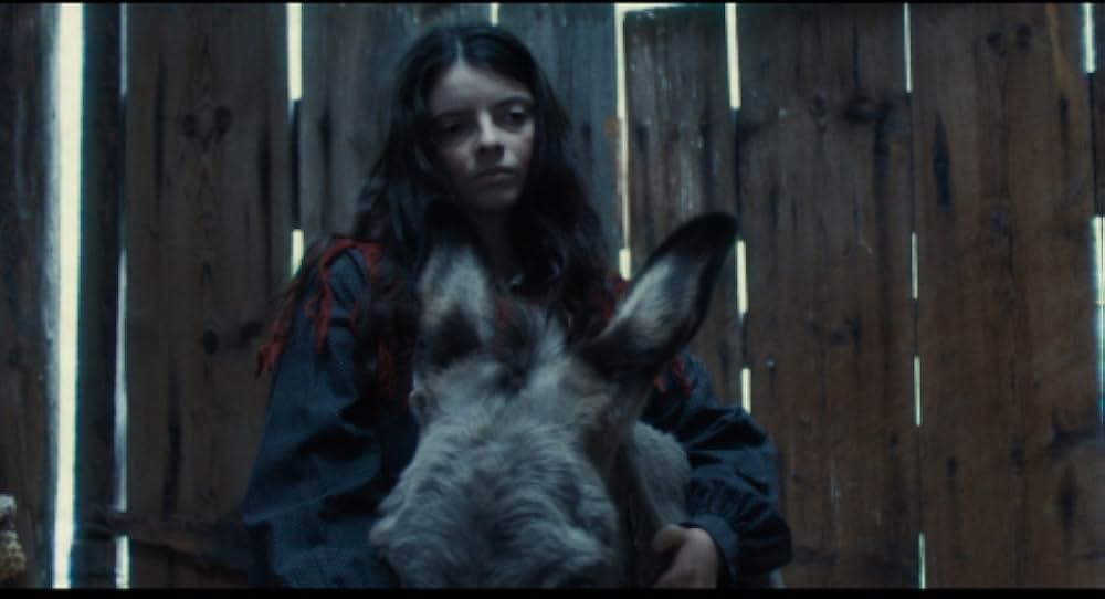 ヴェルミリオの画像