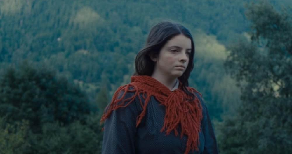 ヴェルミリオの画像