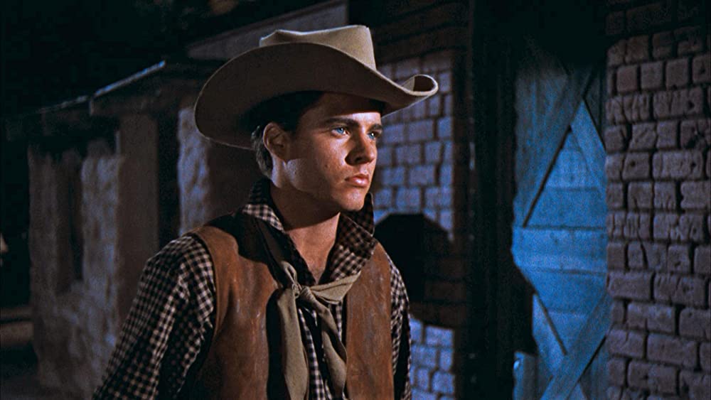 リオ・ブラボーの画像