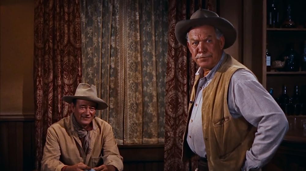 リオ・ブラボーの画像