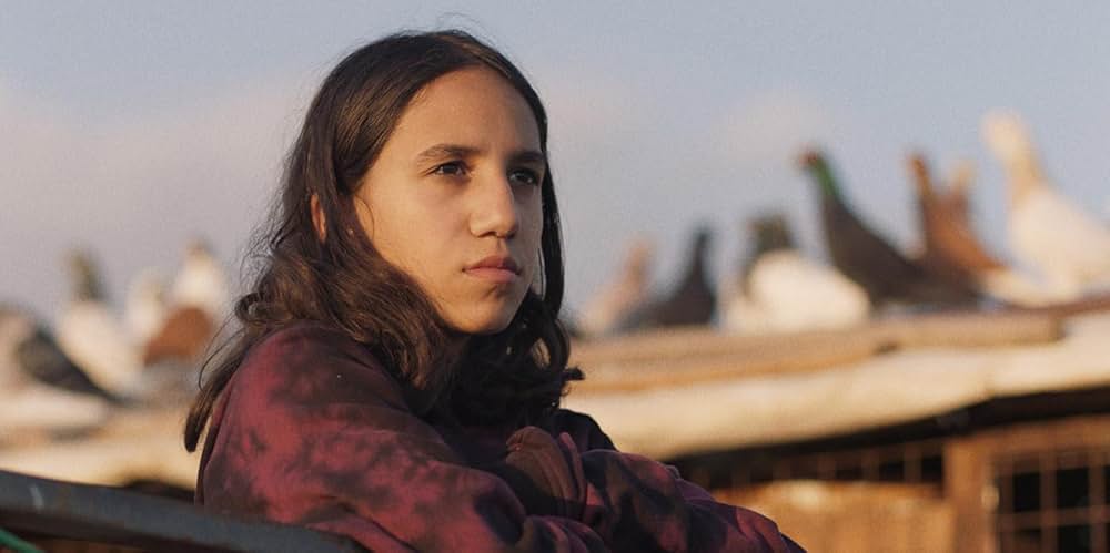 パレスチナ諸島の画像