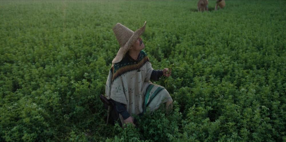 ペドロ・パラモの画像