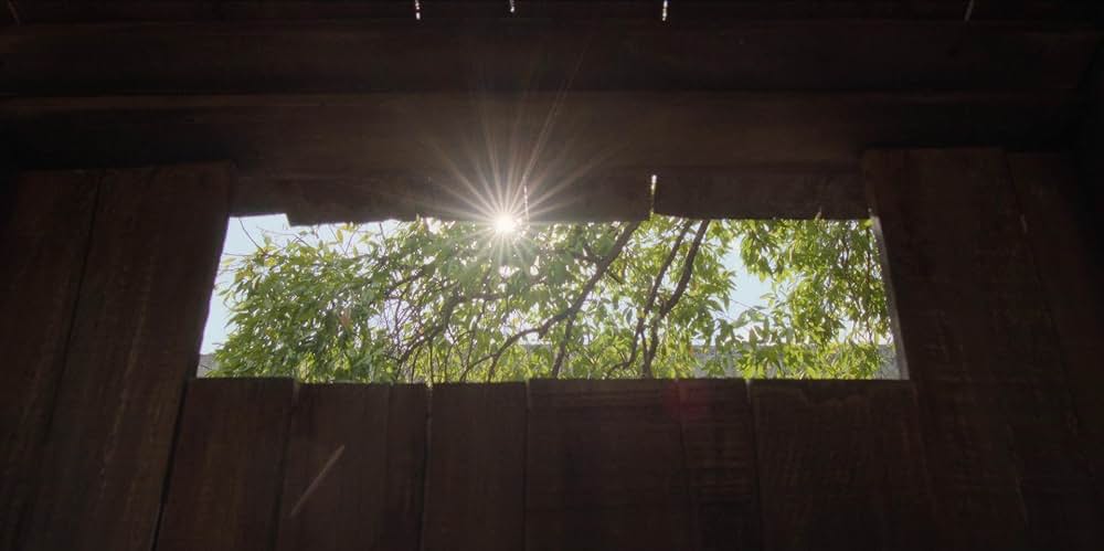 ペドロ・パラモの画像