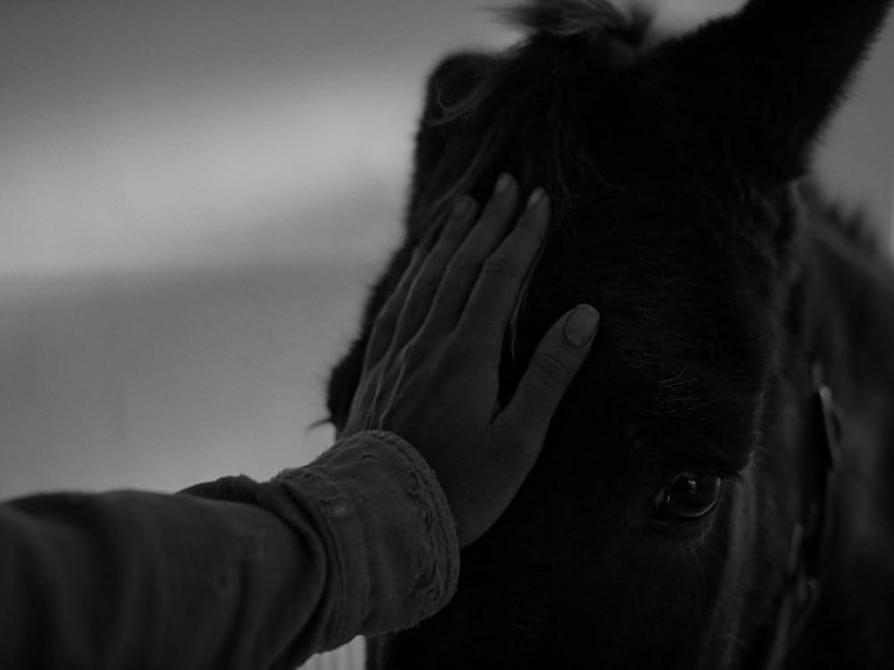 ニッケル・ボーイズの画像