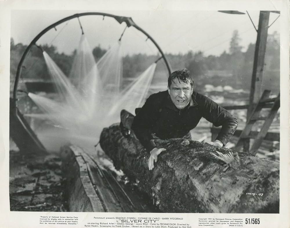 シルバー・シティの画像