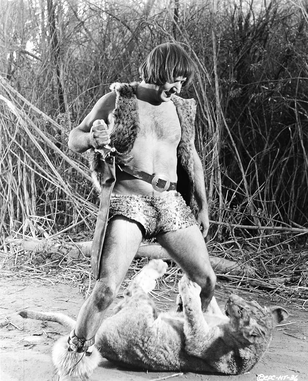 ソニーとシェールの グッド・タイムスの写真