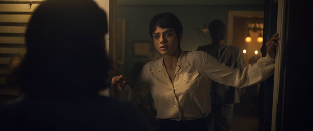 On Swift Horses（原題）の画像