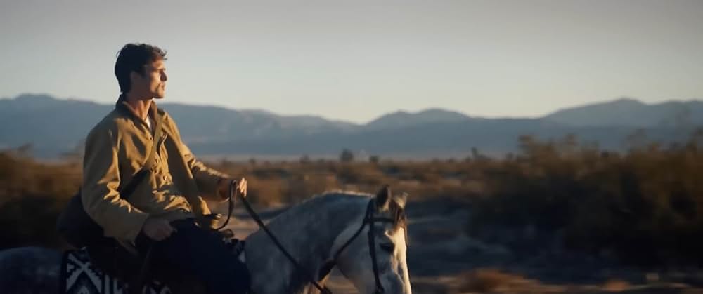 On Swift Horses（原題）の画像