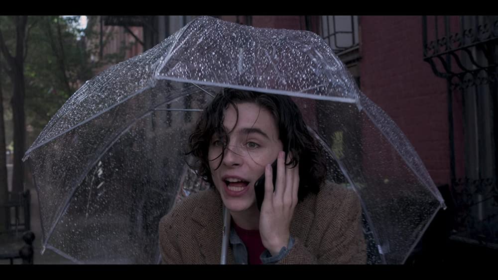 レイニーデイ・イン・ニューヨークの画像