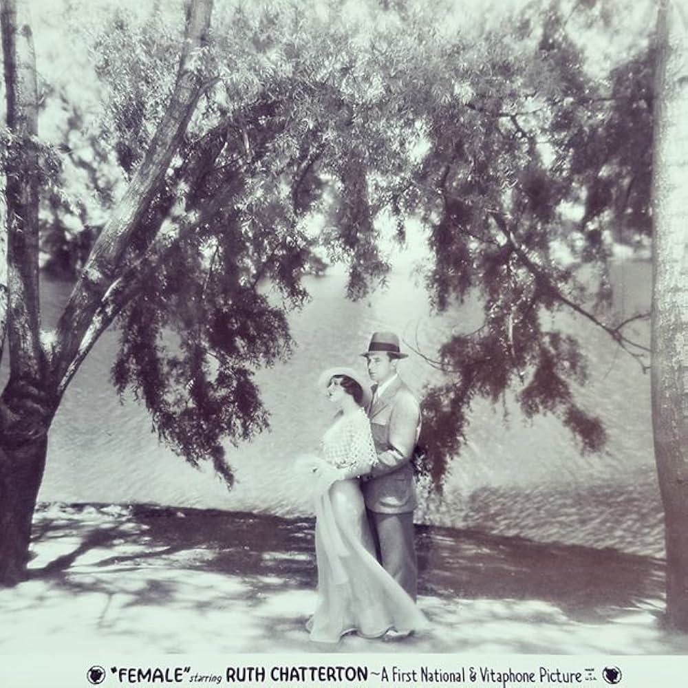 フィメールの画像