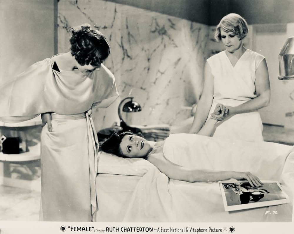 フィメールの画像