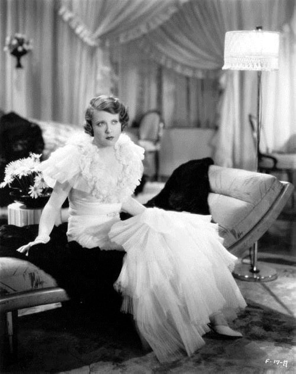 フィメールの画像