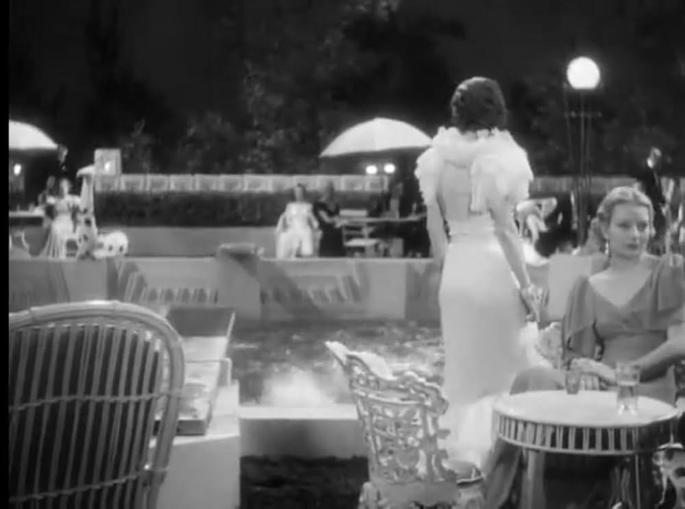 フィメールの画像